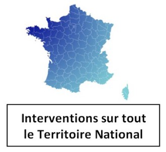 Plan de développement, stratégie international export, croissance interne externe